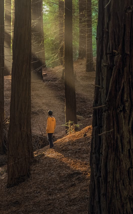 Campaña de Navidad para Liberbank.