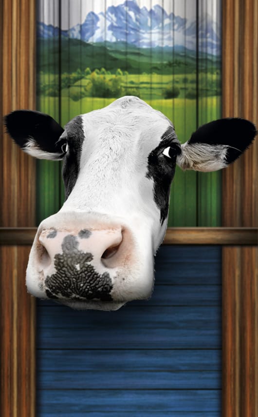 Diseño de piezas para acción de trade marketing de Central Lechera Asturiana.