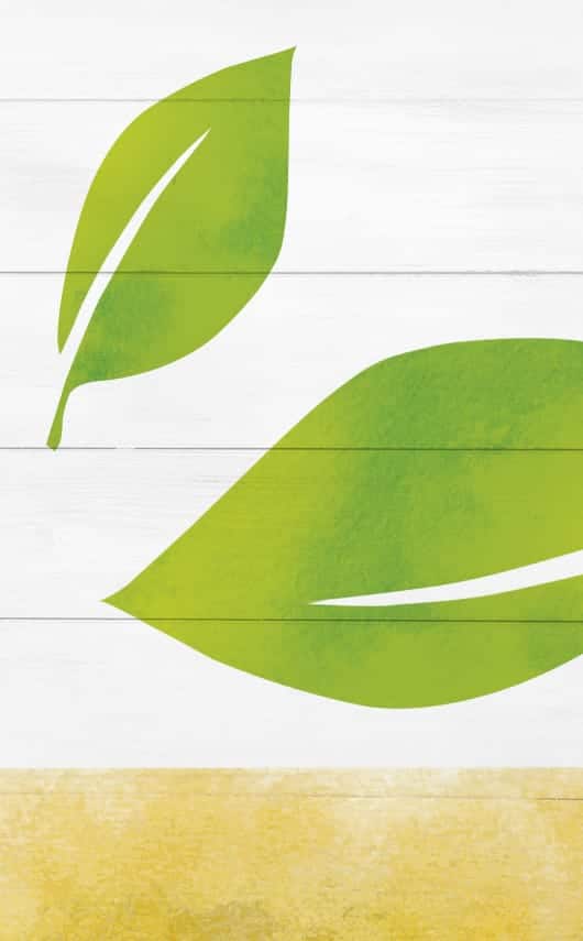 Diseño y producción de piezas para PLV con la nueva imagen de productos Alpro.