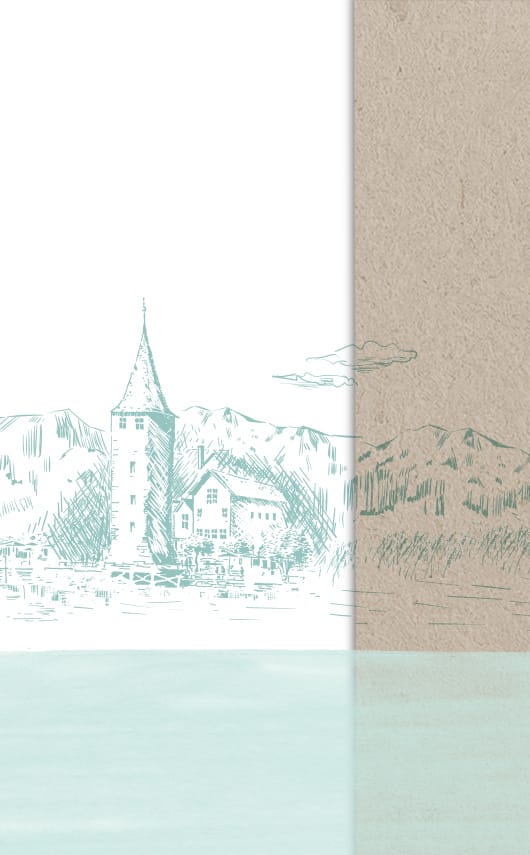 Diseño de packaging y piezas para lanzamiento de nuevos productos de Asana.