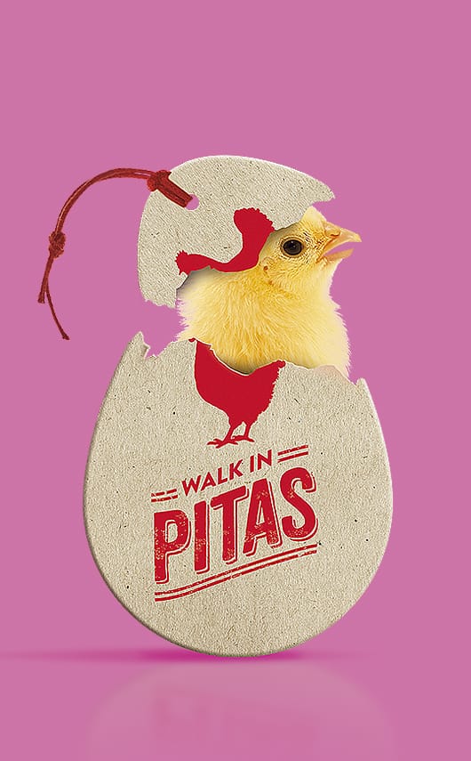 Creatividad, diseño y producción de piezas para los canales sociales de Walk in Pitas.