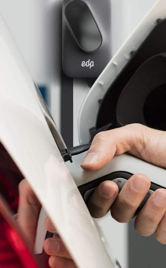 Naming y diseño de piezas para campaña digital